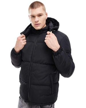 Brave Soul Puffer Jacket With Hood - Black