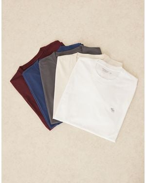 Abercrombie & Fitch 5 Pack Icon Short Sleeve T-shirt - Natural