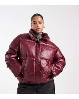 Noisy May Shiny Puffer - Red