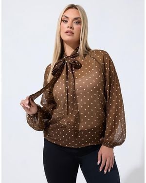 Yours Clothing Polka Dot Tie Chiffon Blouse - Brown