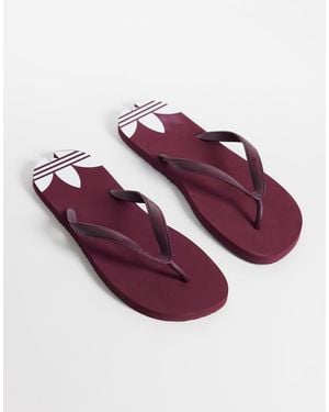 adidas Originals Chanclas Adisun En-Rojo - Morado