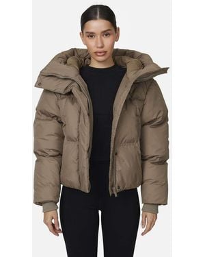 Good For Nothing Panelled Puffer Jacket - Brown
