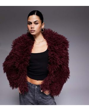 The Frolic Exclusive Oversized Collar Mongolian Faux Fur Jacket - Purple