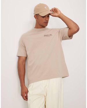 Abercrombie & Fitch T-Shirt Color Pietra Scuro Con Logo Ricamato Lucido - Neutro