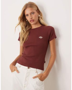 Dickies Gladeville - Marrone