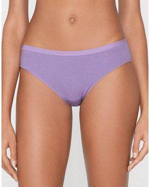Tezenis Cotton Knickers - Purple