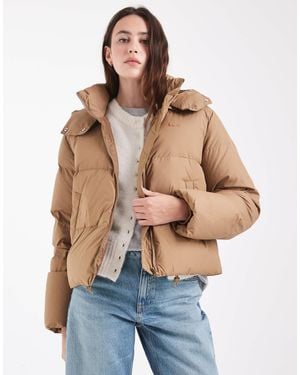 Lacoste Cropped Hooded Down Puffer Jacket - Blue