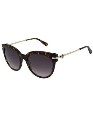 Ted Baker Layla Sunglasses - Brown