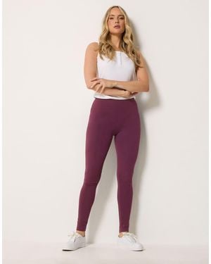 Long Tall Sally Cotton Stretch Leggings - Purple
