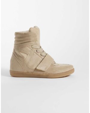 ASOS Damson - Neutro