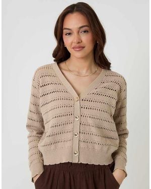 Threadbare Pointelle Knit V-Neck Cardigan - Brown