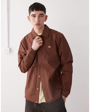 Dickies Oakport - Marrone