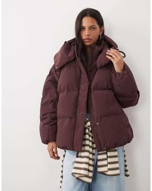 New Balance Chaqueta Acolchada Premium En Piel Cereza-Marrón