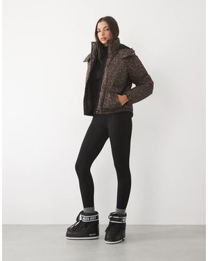 Threadbare Chaqueta Acolchada De Esquí Con Capucha Y Estampado De Leopardo - Marrón