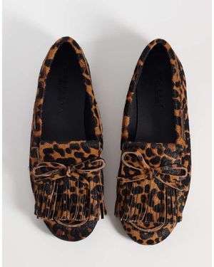 ASOS Moxen - Marrone