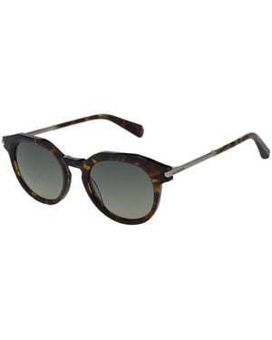 AllSaints Van Sunglasses - Brown