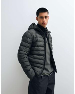 Fred Perry Giacca Puffer Imbottita Con Cappuccio Color Khaki - Blu