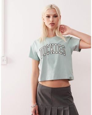 Dickies Aitkin Varsity T-shirt - Gray