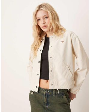 Dickies Oakport - Neutro