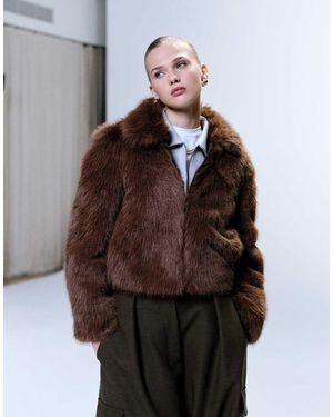 JJXX Cappotto Corto - Marrone