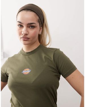 Dickies – maple valley – knapp geschnittenes t-shirt - Grün