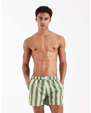 Aray Swimshort - Green