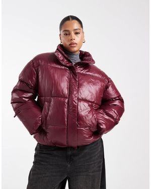 Noisy May Shiny Puffer - Red