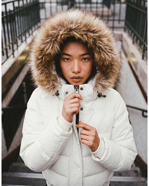 Superdry Everest bomberjacke mit kapuze - Grau
