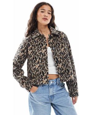 Wednesday's Girl Leopard Print Boxy Cropped Jacket - Brown