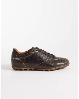 Bronx Gravit-yy Low Top Trainers - Brown
