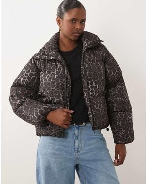 Brave Soul Puffer Jacket - Black