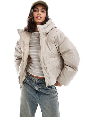 Converse Chaqueta Corta Beis Acolchada De - Gris