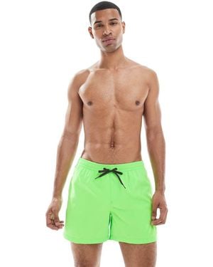 Quiksilver Everyday 15" Swim Shorts - Green