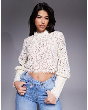 Bardot Georgia Lace High Neck Deep Cuff Top - Gray