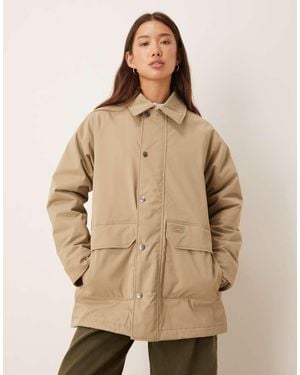 Dickies Abrigo Medina De -Verde - Neutro