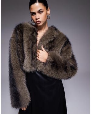 Aria Cove Cropped Faux Fur Jacket - Grey