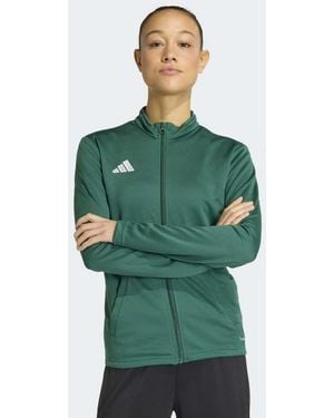 adidas Originals Entrada26 - Verde