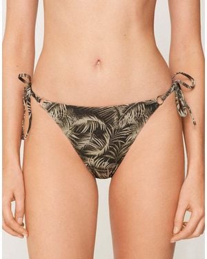 Tezenis Brazilian Briefs Laces Golden Tropics - Brown