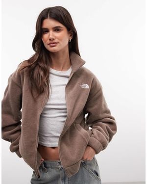 The North Face Collared Fleece Jacket - Brown