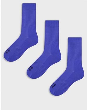 4505 Icon - lot - Bleu