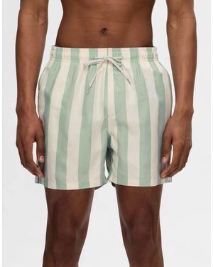 SELECTED – badeshorts - Grün