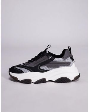 Steve Madden – possess – sneaker - Mettallic