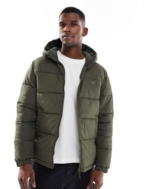 JJ Rebel Puffer Jacket With Hood - Green
