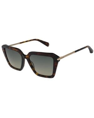 AllSaints Gwen Sunglasses - Brown