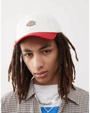 Dickies Hardwick - Marrone