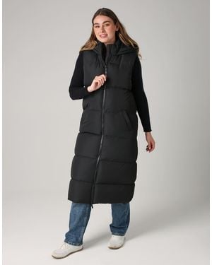 French Connection Longline Quilted Gilet With Hood - Black