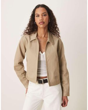 Dickies Eisenhower - Neutro