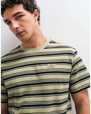 Dickies Stevensville Short Sleeve Stripe T-shirt - Green
