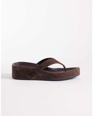 Tony Bianco Blaire Real Suede Flip Flops - Brown
