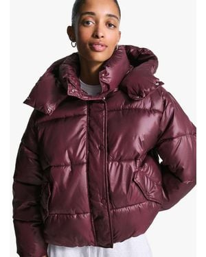 Bershka Piumino Bordeaux Con Cappuccio - Viola